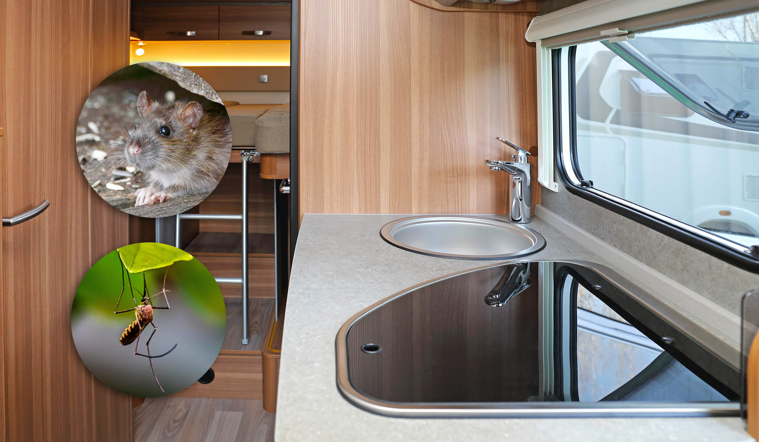 How to Keep Critters Out of Your RV